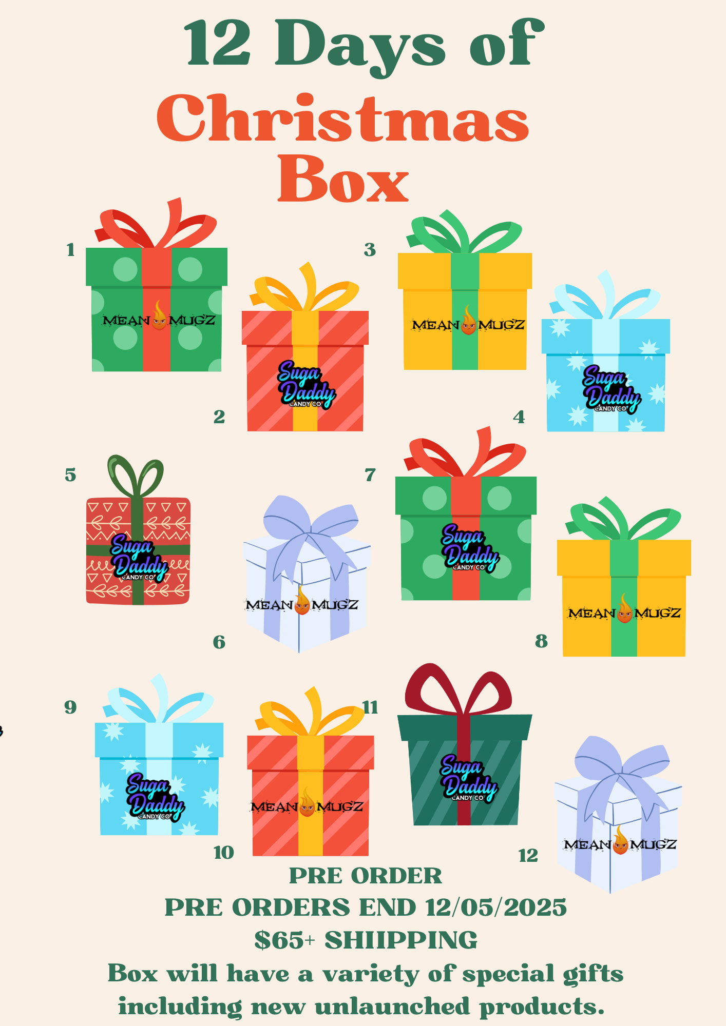 12 Days of Christmas Box PRE ORDER!